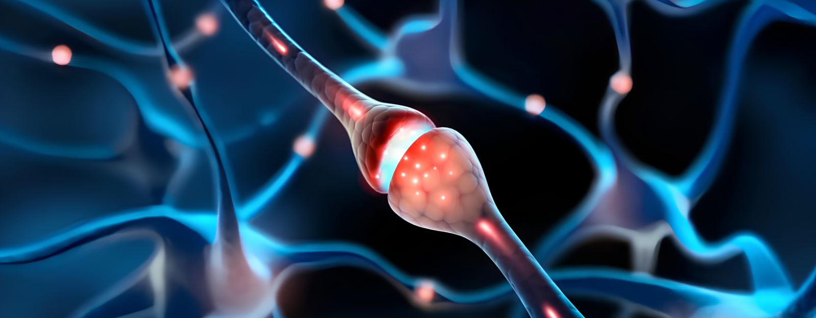 Neurogênese