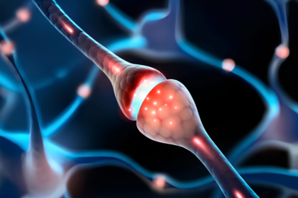 Neurogênese